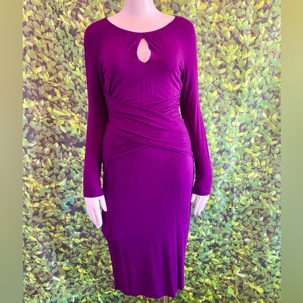 VENUS Long Sleeve Dress